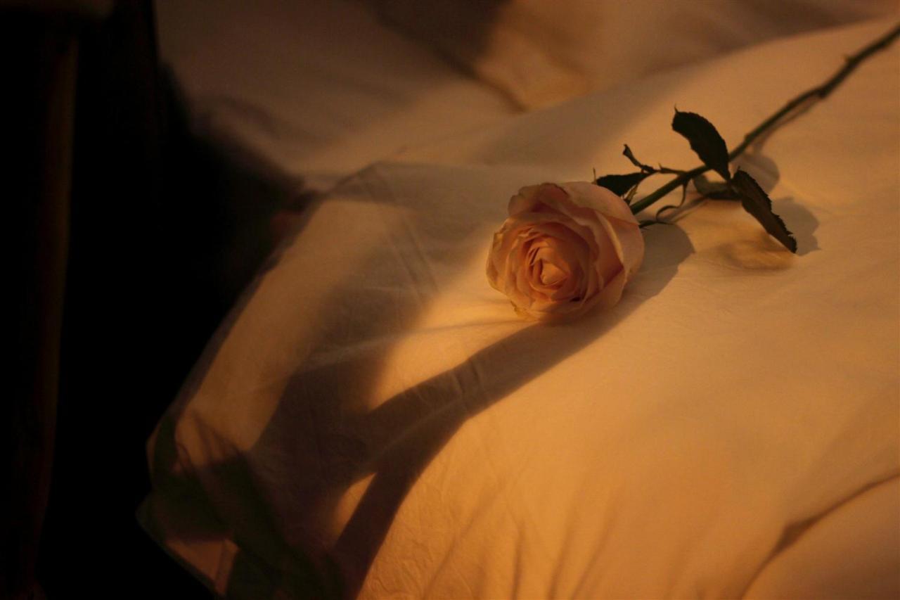 Moonlight Hotel تشنجدو المظهر الخارجي الصورة